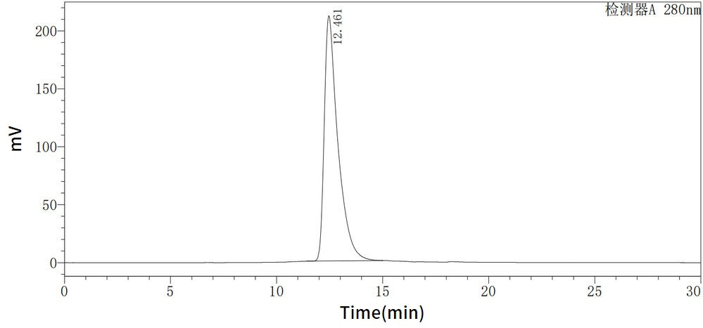 Recombinant Human ROR2 (C-6His)