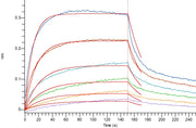 Recombinant Human TSLP R (C-6His)