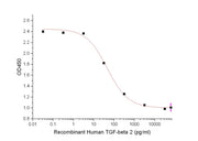 Recombinant Human TGF-beta 2