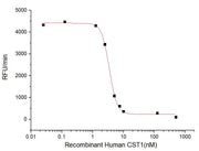 Recombinant Human CST1 (C-6His)