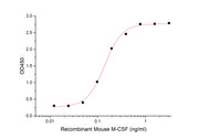 Recombinant Mouse M-CSF