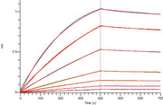 Recombinant Human GAS6 (C-6His)