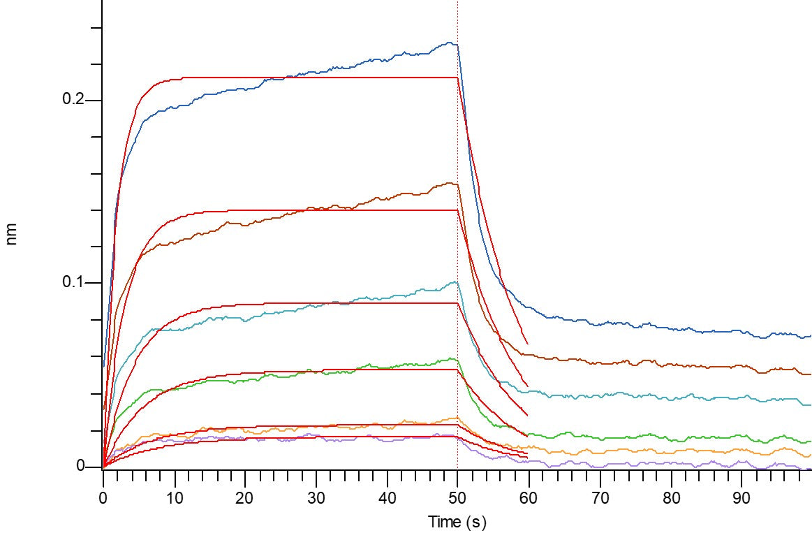 Recombinant Human Nectin-2 (C-Fc)