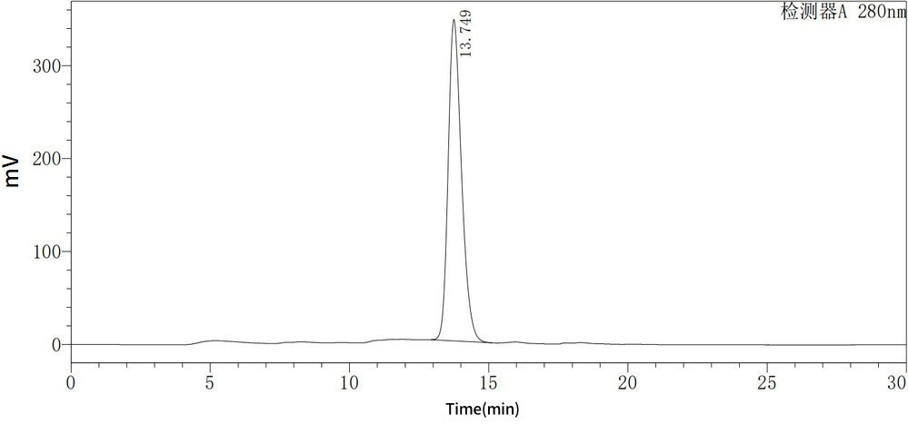 Recombinant Human Serpin B3 (C-6His)