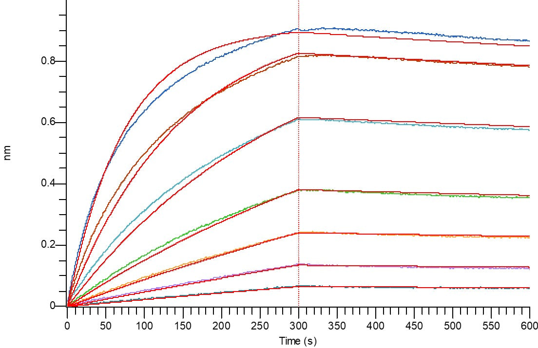 Recombinant Human CEACAM5 (C-6His)