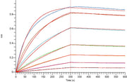 Recombinant Human CEACAM5 (C-6His)