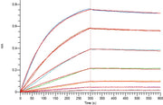 Recombinant Human ANGPTL3 (C-6His)