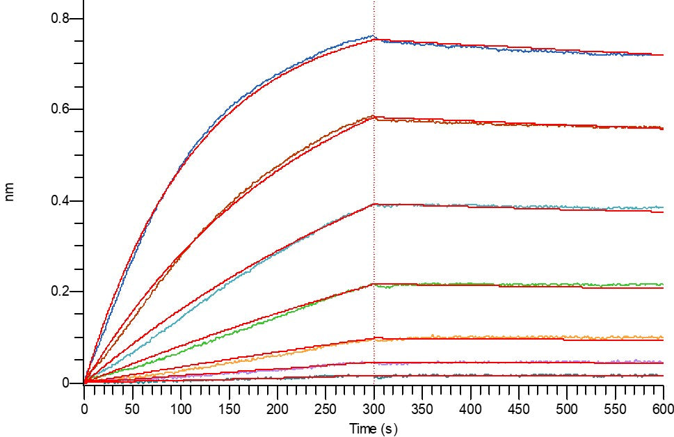 Recombinant Human ANGPTL3 (C-6His)