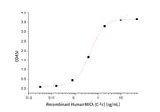 Recombinant Human MICA (C-Fc)