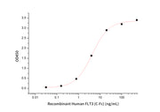 Recombinant Human FLT3LG (C-6His)