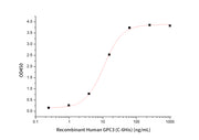 Recombinant Human GPC3 (C-6His)