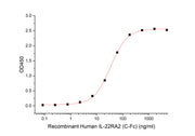 Recombinant Human IL-22 (E. coli)