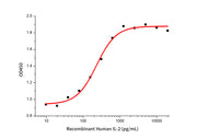 Recombinant Human IL-2