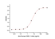 Recombinant Human DKK-1 (C-6His)