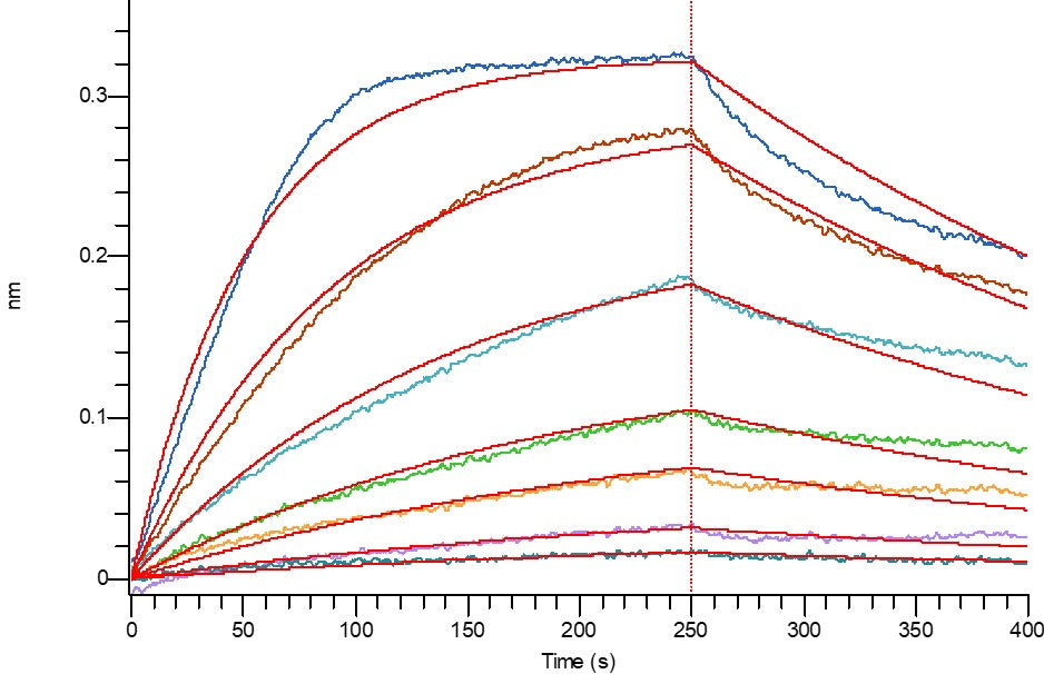 Recombinant Human IFNAR2 (C-Fc)