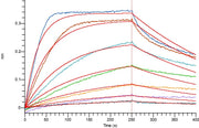 Recombinant Human IFN alpha2a