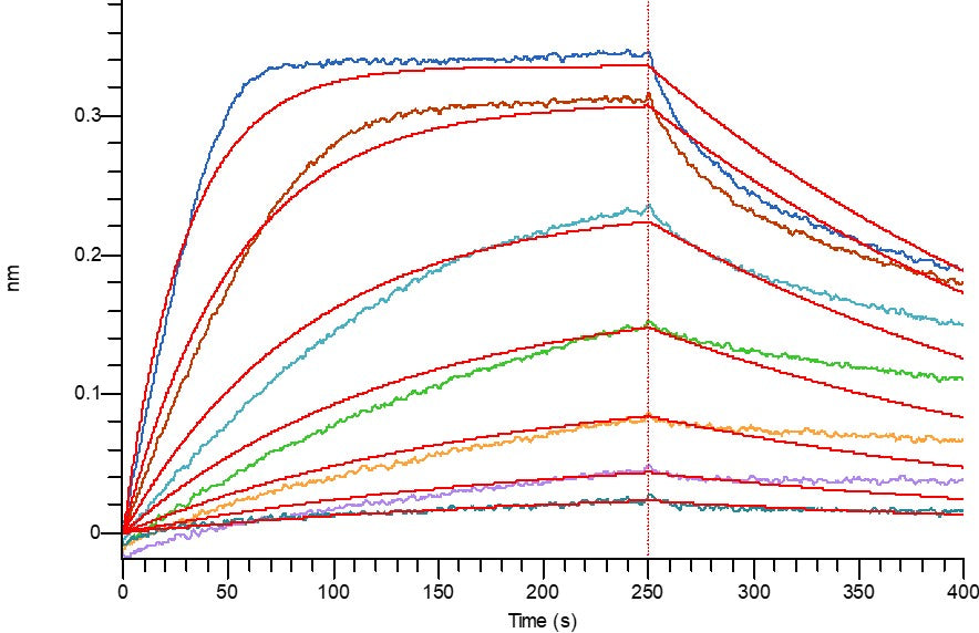 Recombinant Human IFN alpha2a