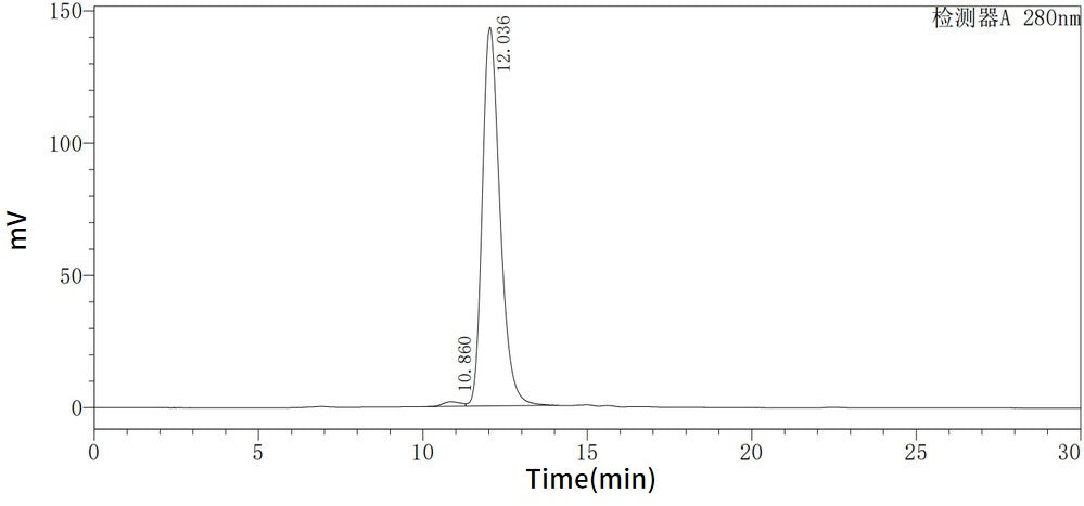 Recombinant Mouse SCF (C-6His)