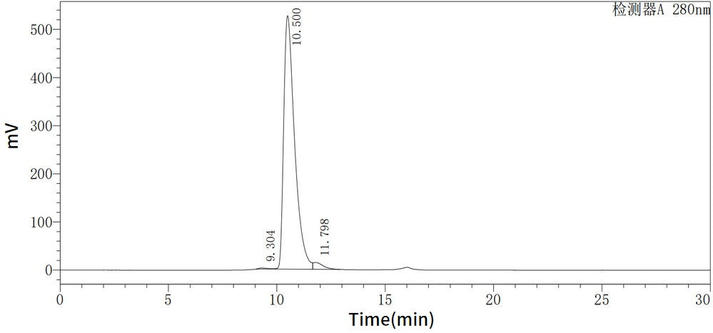 Recombinant Human Siglec-8 (C-6His)