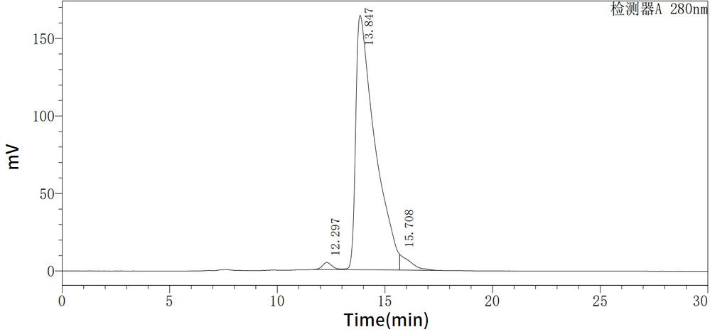 Recombinant Human CTSD (C-6His)