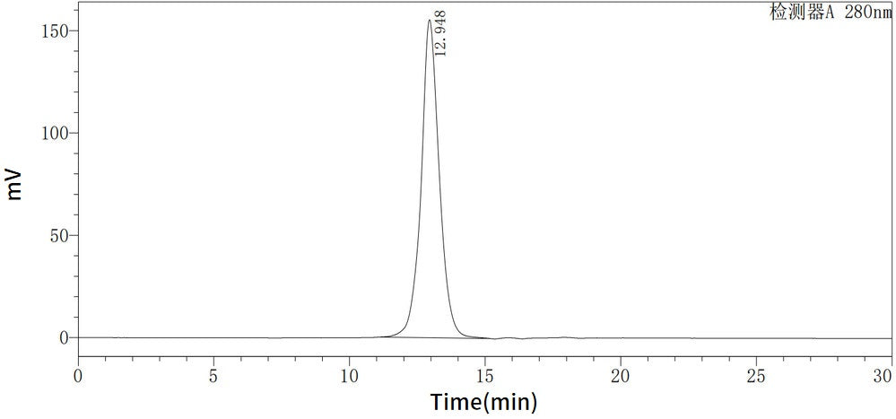 Recombinant Cynomolgus 4-1BB (C-6His)