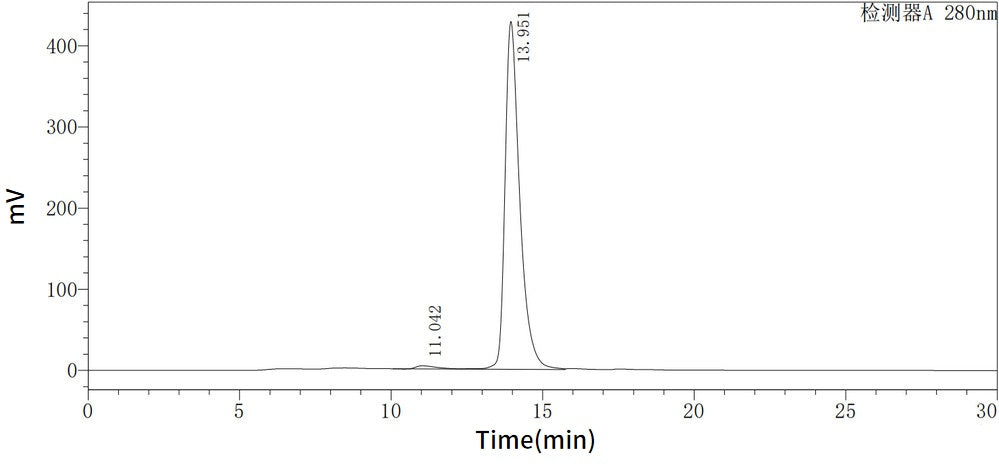 Recombinant Mouse NGAL (C-6His)