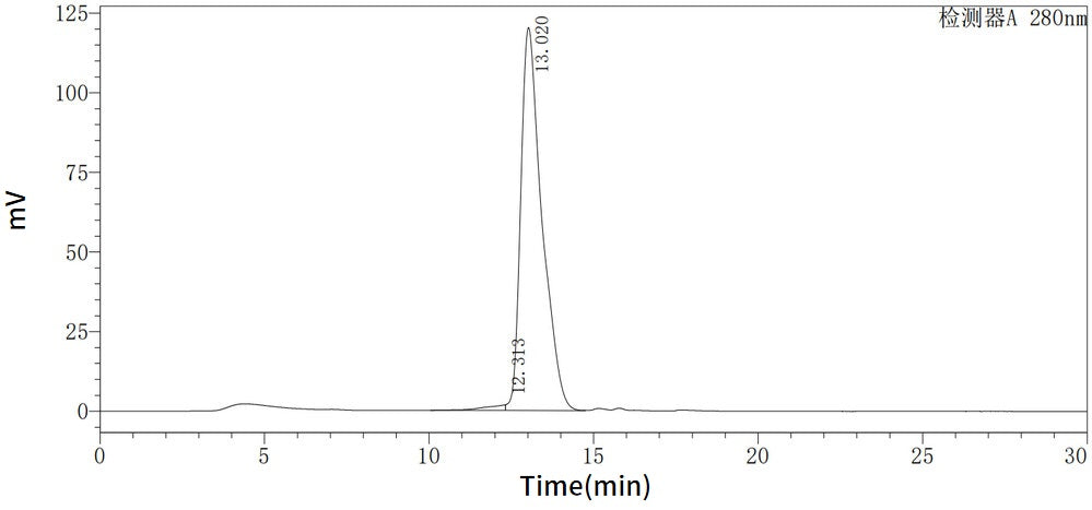 Recombinant Human FSH (C-Flag, C-6His)