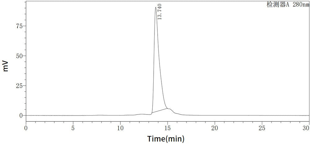 Recombinant Human Nucleobindin-2