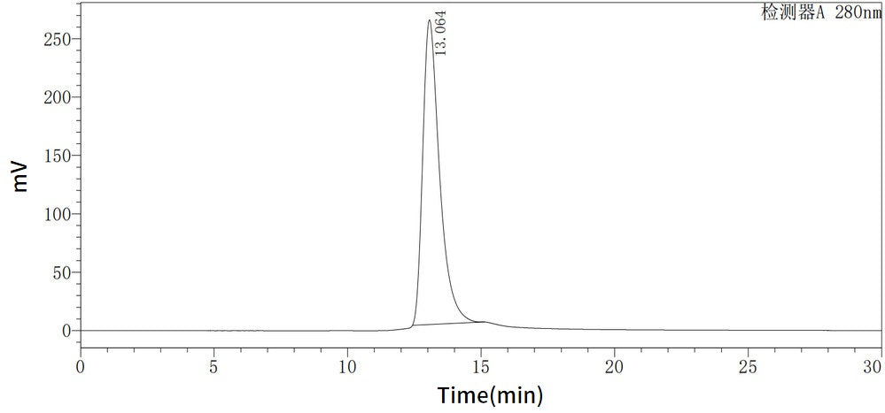 Recombinant Mouse MPO (C-10His)