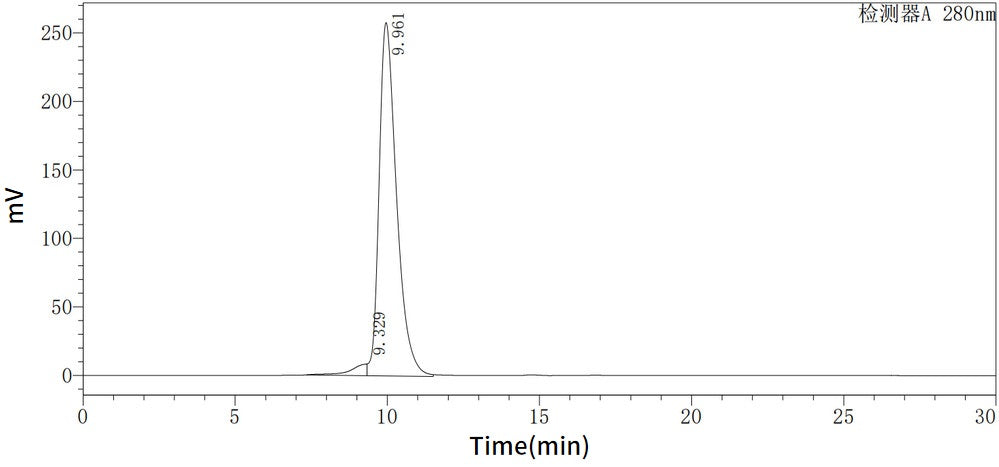 Recombinant Human HER2 (C-Fc)
