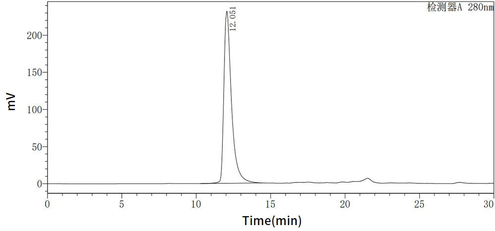 Recombinant Mouse Legumain (C-6His)