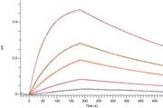Recombinant Human IL-2 R beta&IL-2 R alpha&IL-2 R gamma Heterotrimer Protein (C-Fc)