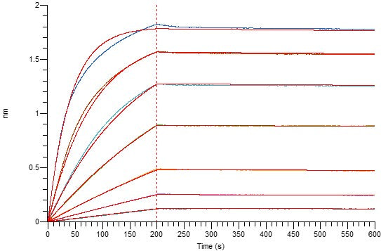 Recombinant Human CD64 (C-6His)
