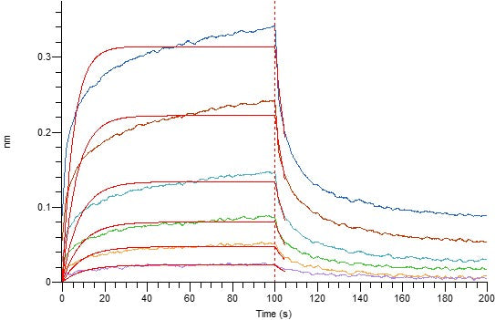 Recombinant Human CD16a (F176, C-6His)
