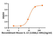 Recombinant Mouse IL-13 (110AA, C-6His)