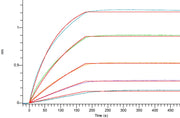 Recombinant Human VEGFR1 (C-Fc)