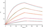 Biotinylated Human EGFR vIII (C-6His-Avi)