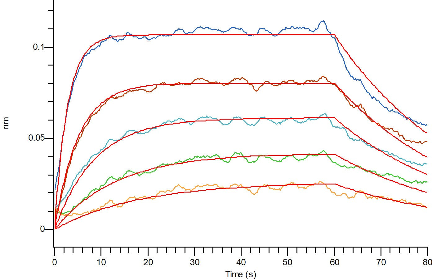 Recombinant Cynomolgus FcRn Heterodimer (C-Flag-6His)