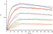 Recombinant Mouse FcRn Heterodimer (C-6His)