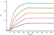Recombinant Human TL1A (N-6His)
