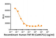 Recombinant Human TNF RII (C-Fc)