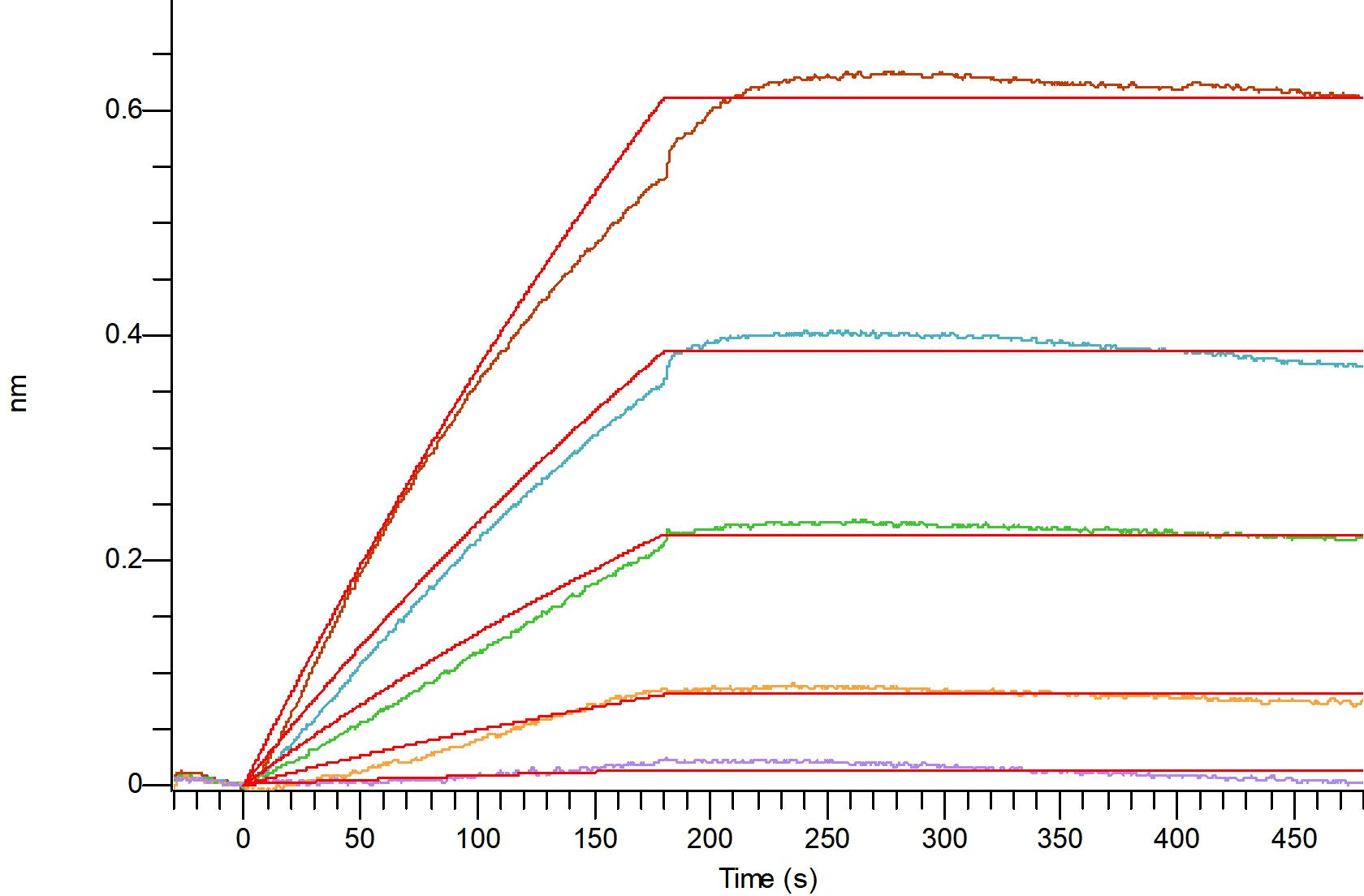 Recombinant Human NaPi2b (C-6His-Flag)
