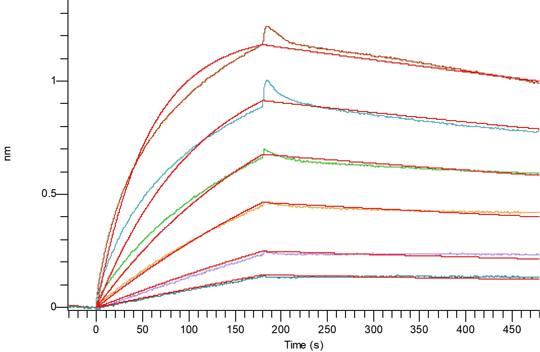 Recombinant Mouse NaPi2b (C-Flag)
