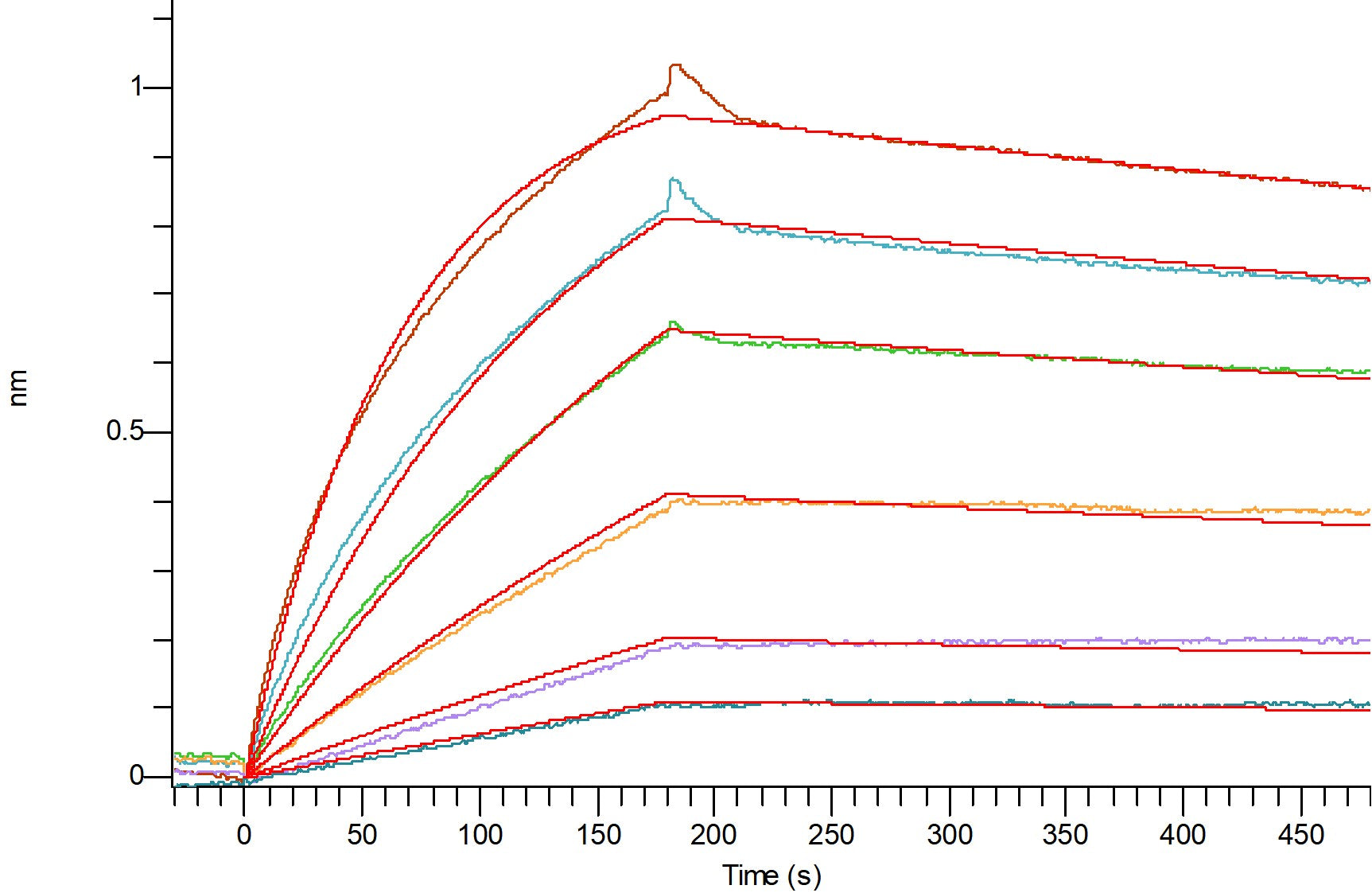 Recombinant Cynomolgus NaPi2b (C-Flag)