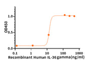 Recombinant Human IL-36g