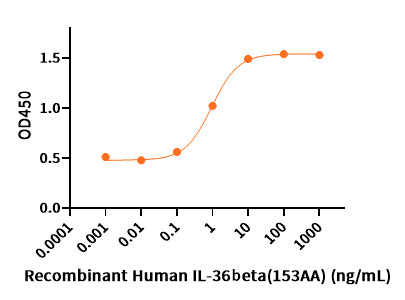 Recombinant Human IL-36 Beta (153AA)