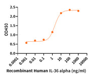 Recombinant Human IL-36 alpha