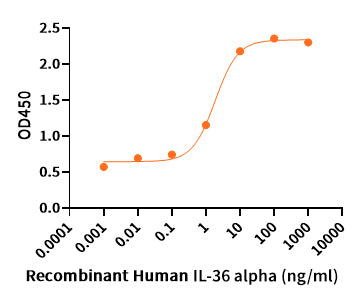 Recombinant Human IL-36 alpha