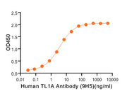 Recombinant Human TL1A (N-mFc)