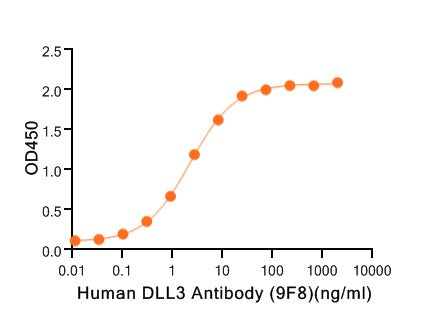 Recombinant Human DLL3 (C-6His)